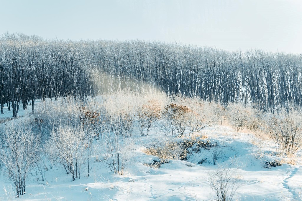 Tới Hokkaido (Nhật Bản) mùa tuyết, du khách nào cũng ao ước được chiêm ngưỡng khung cảnh trắng tinh khôi cùng những bông tuyết rơi dưới ánh nắng Mặt Trời lung linh, đẹp tựa kim cương. Hiện tượng bụi kim cương đã trở thành 
